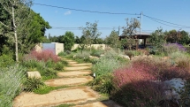 עיצוב גינות | קליפורניה 